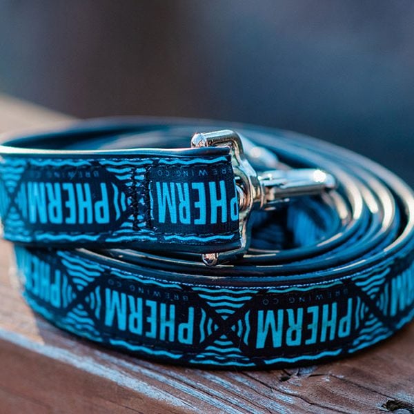 Six Foot Dog Leash